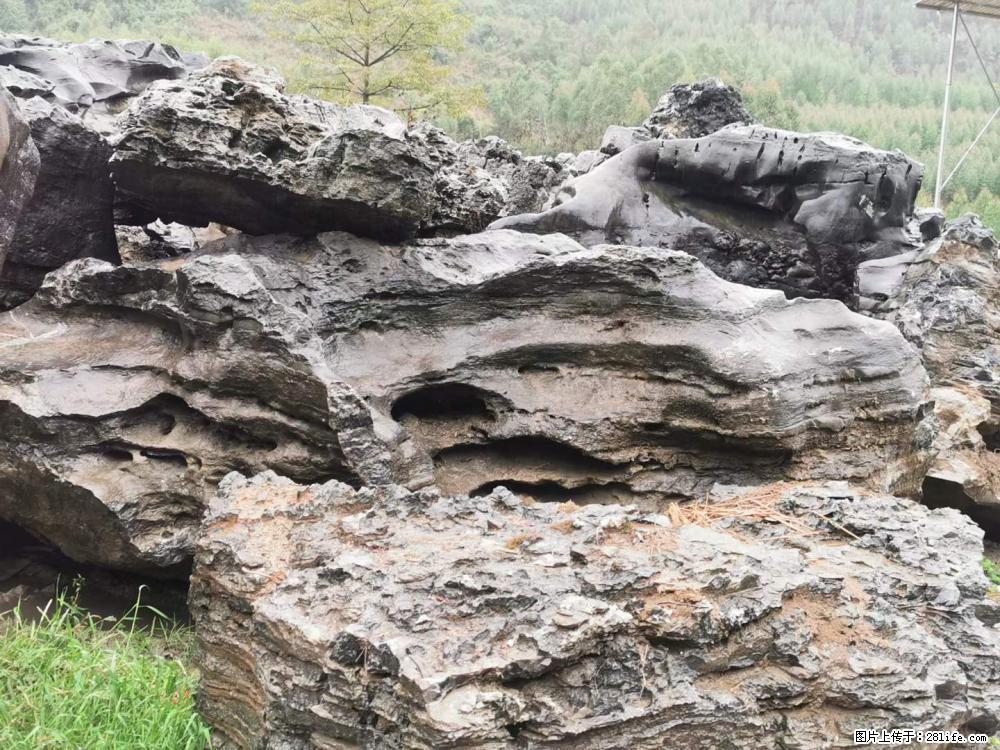 风景石、假山石大量有货，有需要的欢迎联系 - 新手上路 - 韶关生活社区 - 韶关28生活网 sg.28life.net