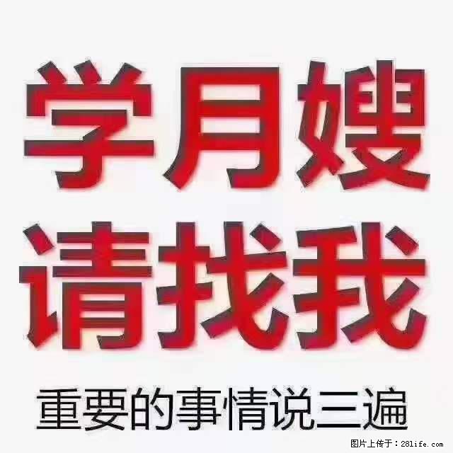 为什么要学习月嫂，育婴师？ - 新手上路 - 韶关生活社区 - 韶关28生活网 sg.28life.net