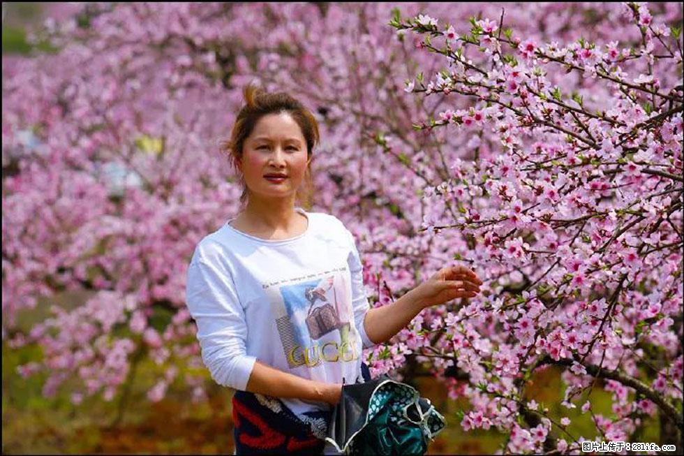 【春天，广西桂林灌阳县向您发出邀请！】官庄村有个醉美的桃花园 - 游山玩水 - 韶关生活社区 - 韶关28生活网 sg.28life.net