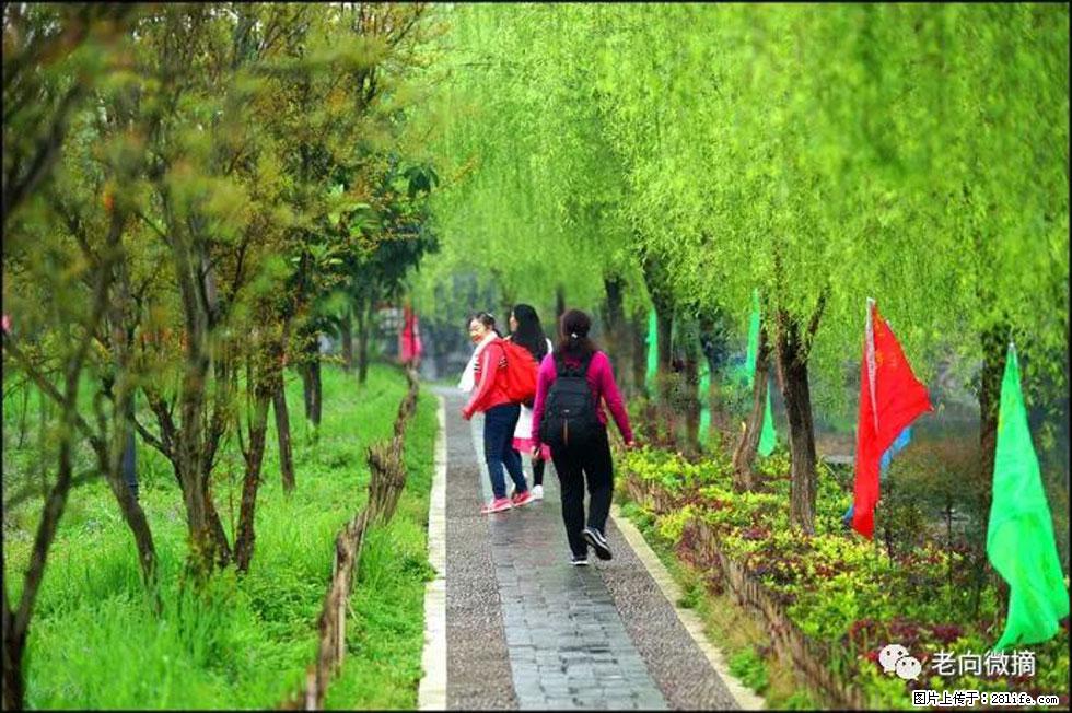 【春天，广西桂林灌阳县向您发出邀请！】江口老街又逢春 - 游山玩水 - 韶关生活社区 - 韶关28生活网 sg.28life.net