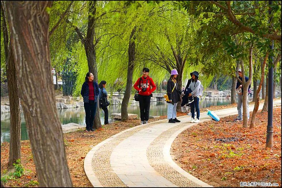 【春天，广西桂林灌阳县向您发出邀请！】江口老街又逢春 - 游山玩水 - 韶关生活社区 - 韶关28生活网 sg.28life.net