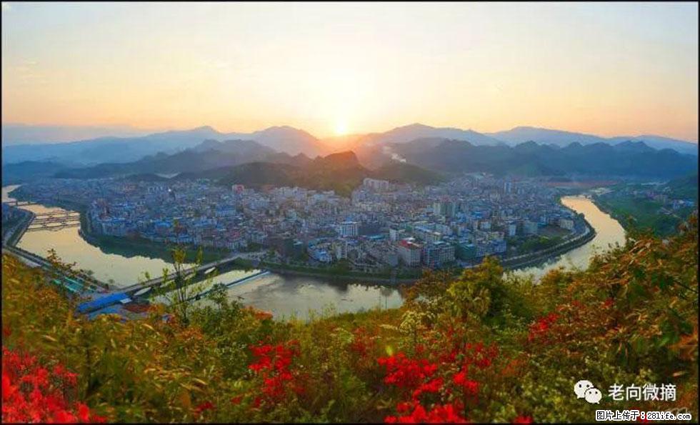 【春天，广西桂林灌阳县向您发出邀请！】登麒麟山，相约映山红 - 游山玩水 - 韶关生活社区 - 韶关28生活网 sg.28life.net