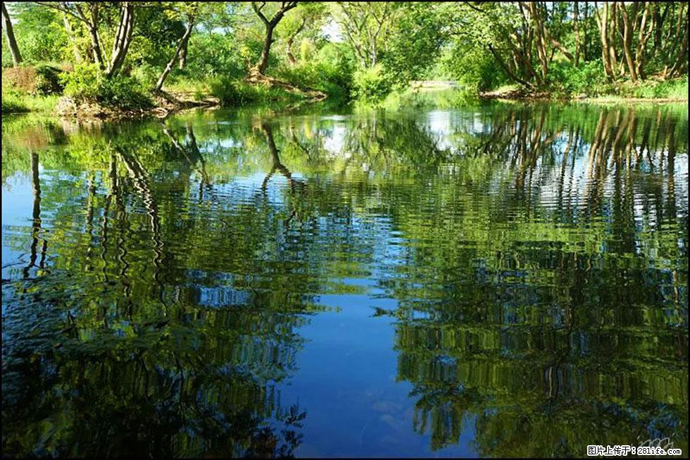 【春天，广西桂林灌阳县向您发出邀请！】熊家寨湿地公园 - 游山玩水 - 韶关生活社区 - 韶关28生活网 sg.28life.net
