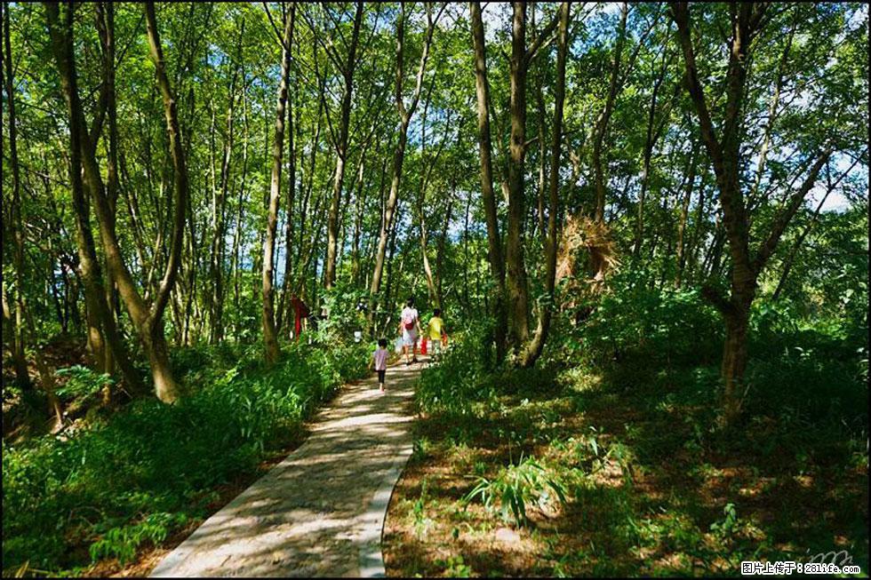 【春天，广西桂林灌阳县向您发出邀请！】熊家寨湿地公园 - 游山玩水 - 韶关生活社区 - 韶关28生活网 sg.28life.net