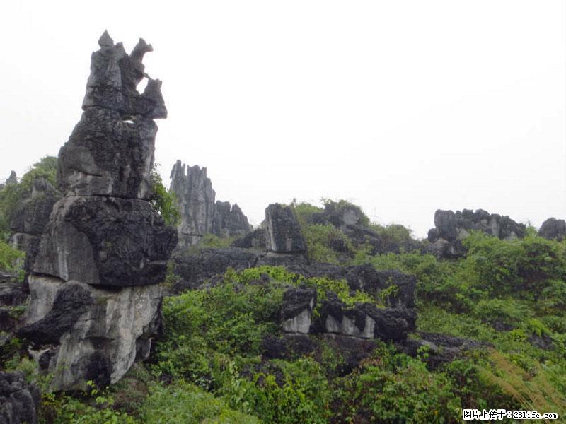 桂林旅游名城景点：灌阳文市石林 - 游山玩水 - 韶关生活社区 - 韶关28生活网 sg.28life.net