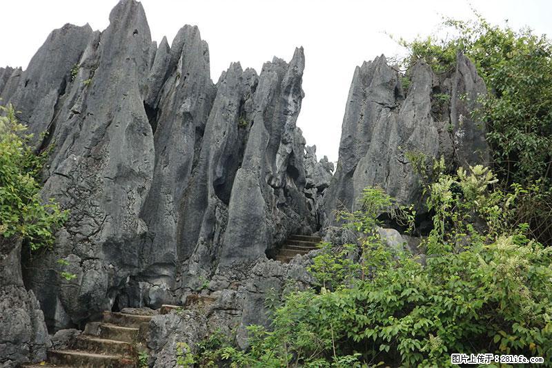 桂林旅游名城景点：灌阳文市石林 - 游山玩水 - 韶关生活社区 - 韶关28生活网 sg.28life.net