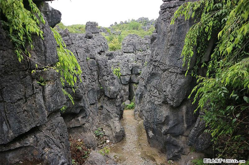 桂林旅游名城景点：灌阳文市石林 - 游山玩水 - 韶关生活社区 - 韶关28生活网 sg.28life.net