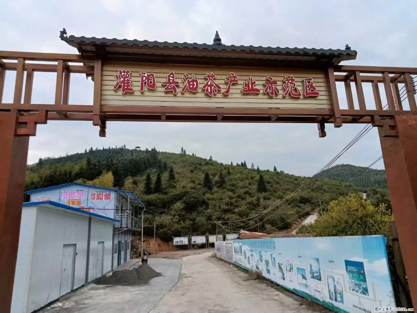 【灌阳县油茶产业示范区】一个有着充实的精神生活的人，对待身外之物自会有一种淡泊的态度 - 美食天地 - 韶关生活社区 - 韶关28生活网 sg.28life.net