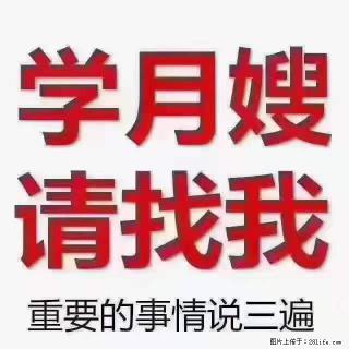 为什么要学习月嫂，育婴师？ - 韶关28生活网 sg.28life.net