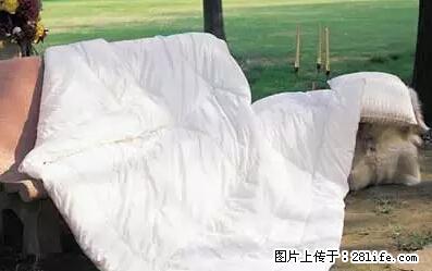 被子有异味？只要这样做，比晒太阳还强100倍！ - 家居生活 - 韶关生活社区 - 韶关28生活网 sg.28life.net