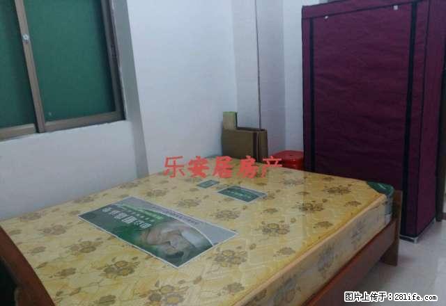 市中心 新房 电梯一房一厅 精美装修 拎包入住 - 房屋出租 - 房屋租售 - 韶关分类信息 - 韶关28生活网 sg.28life.net