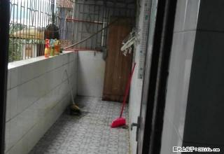 沙洲尾鸿发花园低层。 - 韶关28生活网 sg.28life.net