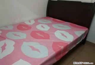 百年东街婚庆广场附近，二房，有家具，热水器。 - 韶关28生活网 sg.28life.net