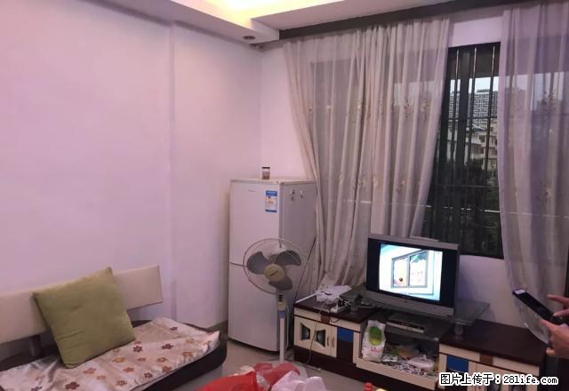 真实新租房：沙洲尾晖景园电梯3楼，1房1厅，精致装修，全齐了 - 房屋出租 - 房屋租售 - 韶关分类信息 - 韶关28生活网 sg.28life.net