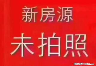 真实租房：东枫花园步梯3楼，2房2厅，精致装修，家私电器全齐 - 韶关28生活网 sg.28life.net