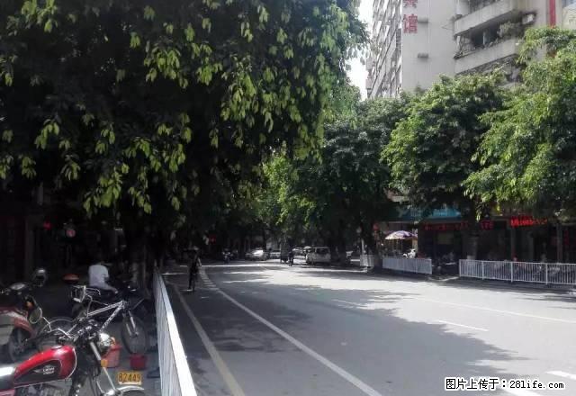 电梯2房一厅租1100元电器齐全新华北路百货大厦过桥到市中心 - 房屋出租 - 房屋租售 - 韶关分类信息 - 韶关28生活网 sg.28life.net