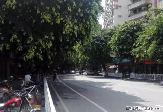 电梯2房一厅租1100元电器齐全新华北路百货大厦过桥到市中心 - 韶关28生活网 sg.28life.net