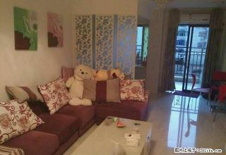 香槟小城 市中心豪华装修 给你不一样的生活环境 - 韶关28生活网 sg.28life.net