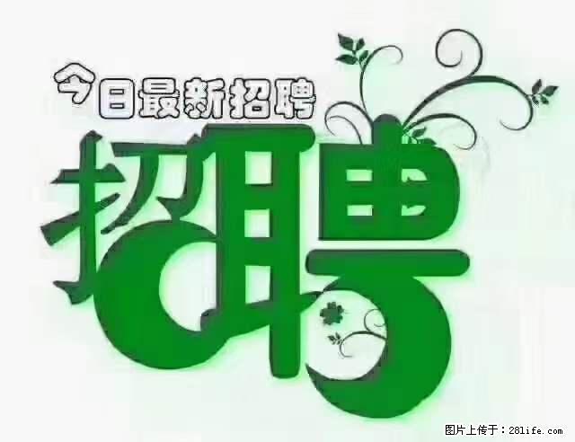 【招聘摄像师】待遇：试用期6000元/月，转正7000元/月+五险一金+餐补+节日福利+奖金 - 职场交流 - 韶关生活社区 - 韶关28生活网 sg.28life.net