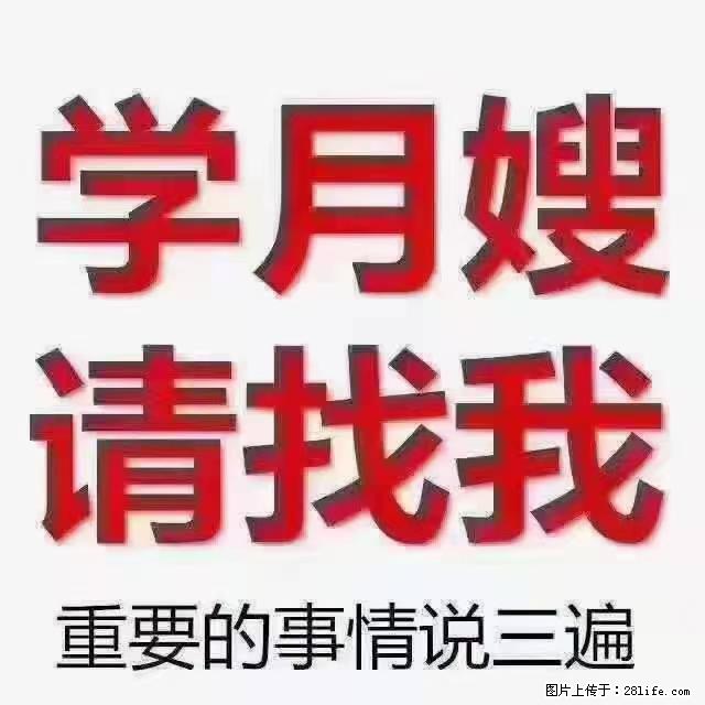 【招聘】月嫂，上海徐汇区 - 职场交流 - 韶关生活社区 - 韶关28生活网 sg.28life.net
