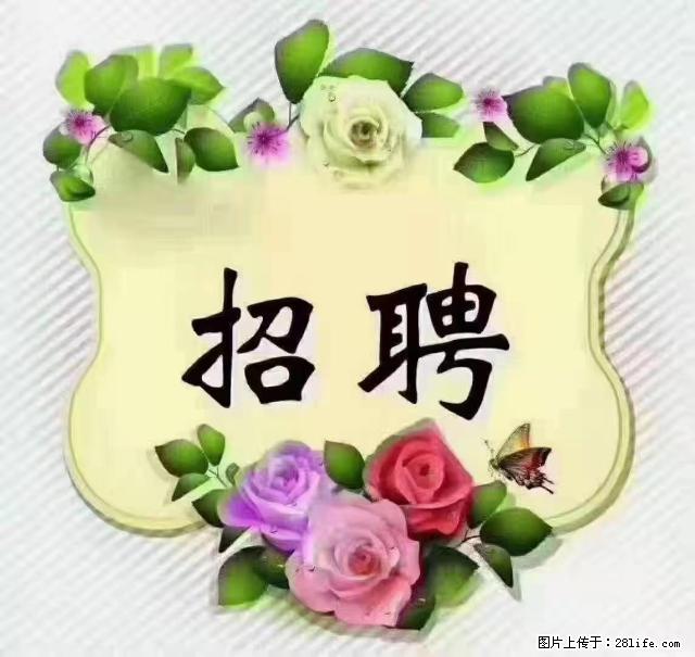 【招聘】住家育儿嫂，上户日期：4月4日，工作地址：上海 黄浦区 - 职场交流 - 韶关生活社区 - 韶关28生活网 sg.28life.net