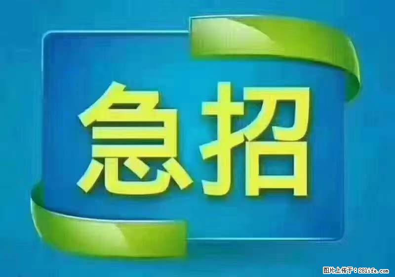 招出纳8000元/月，无证可以，要有相关经验，上海五险一金，包住，包工作餐，做六休一。 - 职场交流 - 韶关生活社区 - 韶关28生活网 sg.28life.net