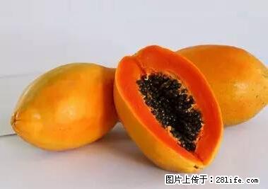 晕车、脚气、牙齿变黄、皮肤粗糙？学会这些三分钟搞定！ - 韶关生活资讯 - 韶关28生活网 sg.28life.net