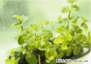 晕车、脚气、牙齿变黄、皮肤粗糙？学会这些三分钟搞定！ - 韶关生活资讯 - 韶关28生活网 sg.28life.net