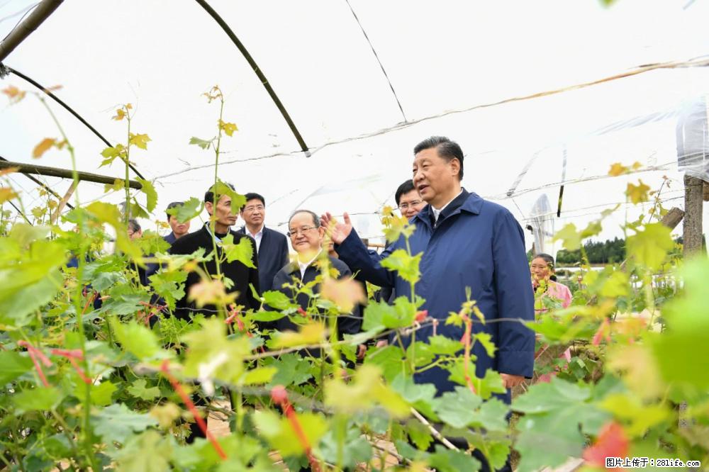 习近平赴广西考察调研 - 韶关生活资讯 - 韶关28生活网 sg.28life.net