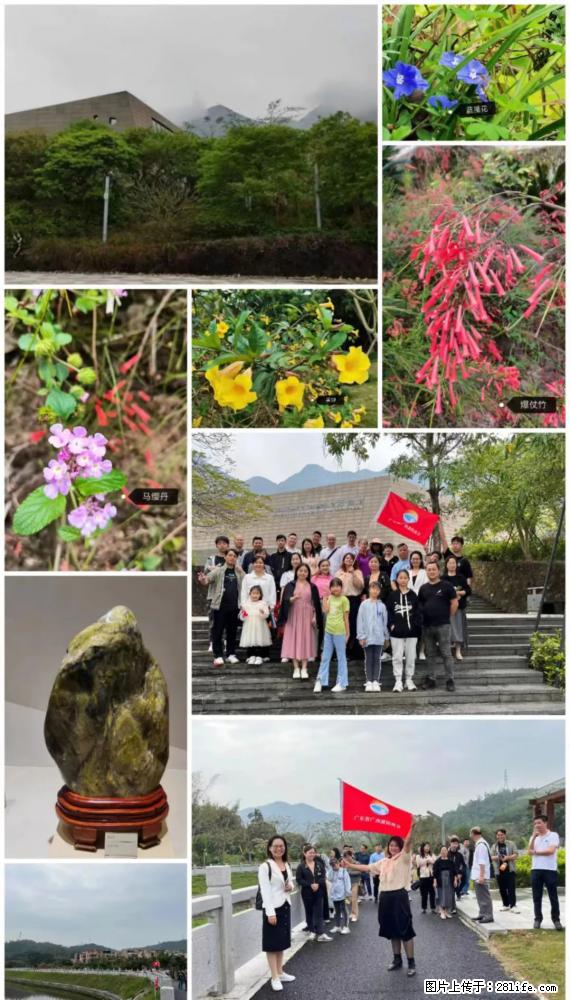 “粤灌文化 美好生活”油茶文化主题活动在广东深圳成功举办 - 韶关生活资讯 - 韶关28生活网 sg.28life.net