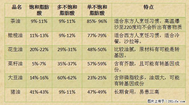 揭秘茶油的5大核心营养成分！被称为人体健康的“守护盾”！ - 韶关生活资讯 - 韶关28生活网 sg.28life.net