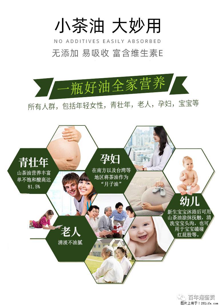 世界没有真相，只有认知，最好的食用油是中国的山茶油！ - 韶关生活资讯 - 韶关28生活网 sg.28life.net