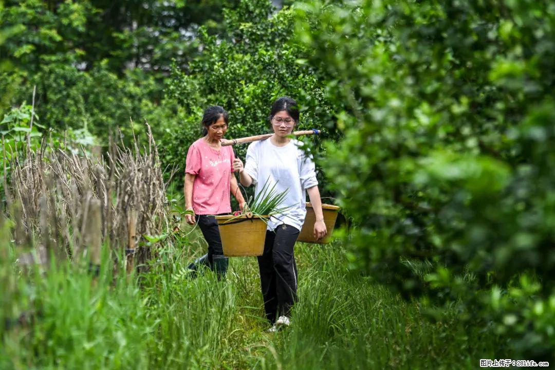 全网追的“扁担女孩”，找了一份暑假工，时薪12元 - 韶关生活资讯 - 韶关28生活网 sg.28life.net