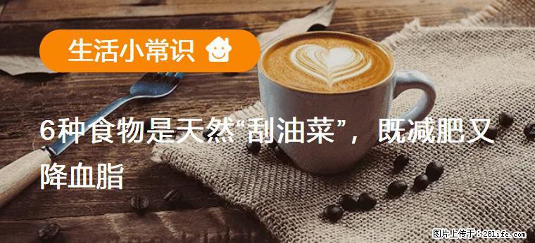 【生活小常识】6种食物是天然“刮油菜”，既减肥又降血脂 - 韶关生活资讯 - 韶关28生活网 sg.28life.net