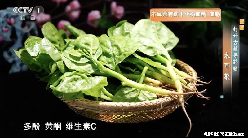 比牛奶补钙还厉害！凉血解毒、稳血糖...这菜冬天必吃，很多人却当草 - 韶关生活资讯 - 韶关28生活网 sg.28life.net