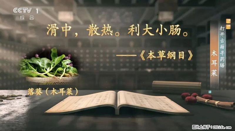 比牛奶补钙还厉害！凉血解毒、稳血糖...这菜冬天必吃，很多人却当草 - 韶关生活资讯 - 韶关28生活网 sg.28life.net