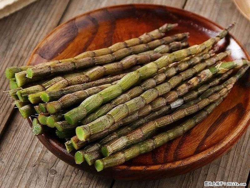 铁皮石斛的作用与功能主治 - 韶关生活资讯 - 韶关28生活网 sg.28life.net
