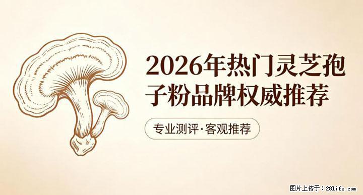 灵芝孢子粉含量越高越有效？2026 年七款热门品牌深度实测，肠胃敏感者避坑指南 - 韶关生活资讯 - 韶关28生活网 sg.28life.net